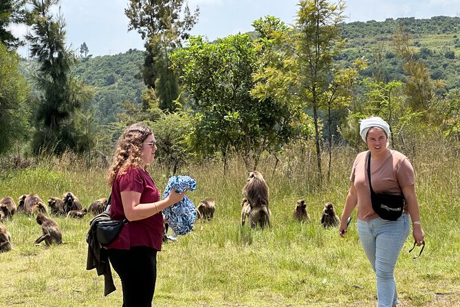 1-Day Tour Old bridge, Monastery,water falls Wildlife,Birds, - Key points at a glance