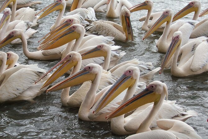 2-Day private Tour in Bahir Dar and Blue Nile falls - A market visit before the tour ends