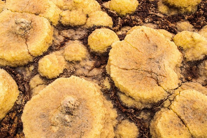 2 Days Dallol Trip - Why Dallol feels like another planet