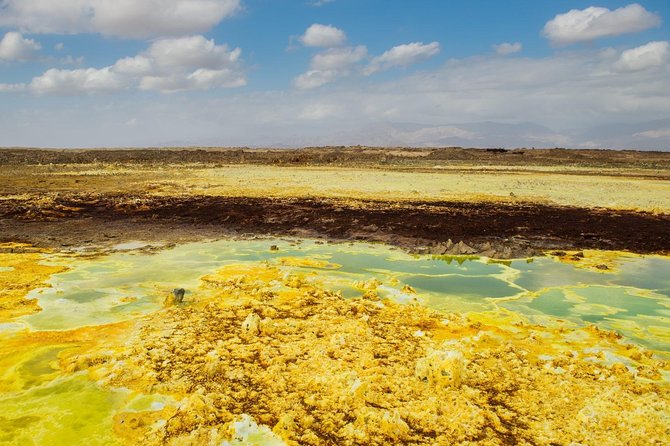 2 Days Dallol Trip - The salt caravans are the trip’s human highlight