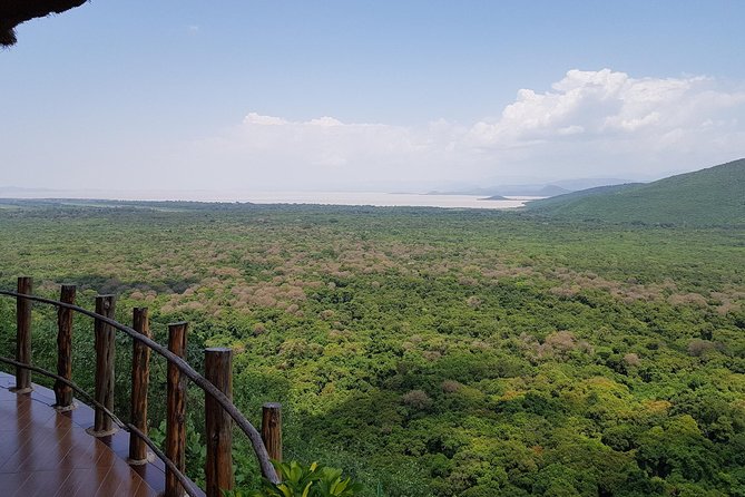 2 Days Ethiopian Rift Valley Lakes Tour from Addis Ababa - Lake Ziway is a good first wildlife stop