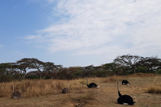 2 Days Ethiopian Rift Valley Lakes Tour from Addis Ababa - Butajira brings viewpoints and village contact