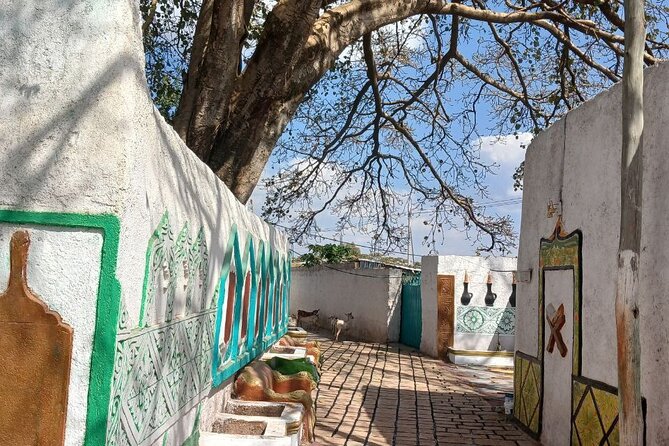 2 Days Harar Tours - Key points to know before booking