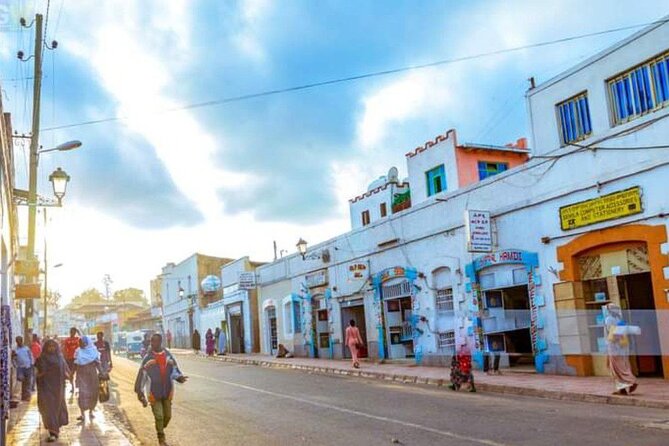 2 Days Harar Tours - Day 2: Babile Camel Market and the Valley of Marvels