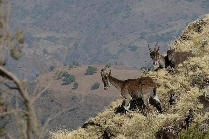2 Days Simien Mountains Trekking - The early road from Gondar to Debark
