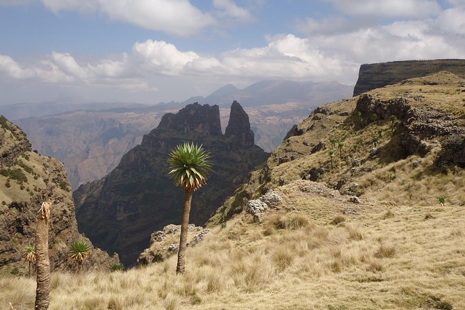 2 Days Simien Mountains Trekking - The $295 price: good value with one important question