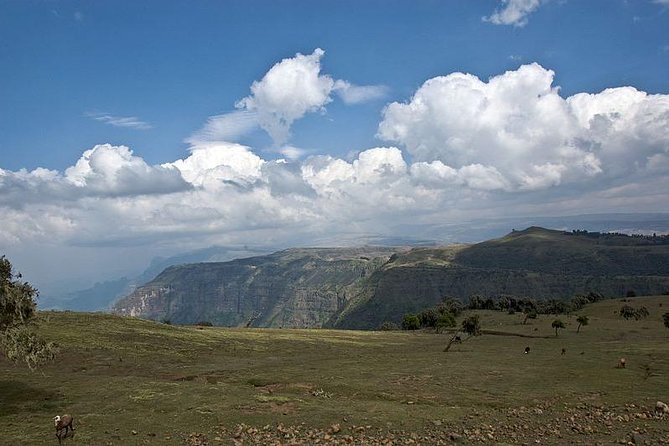 2 Days Simien Mountains Trekking - Day one: an easy walk along the northern escarpment