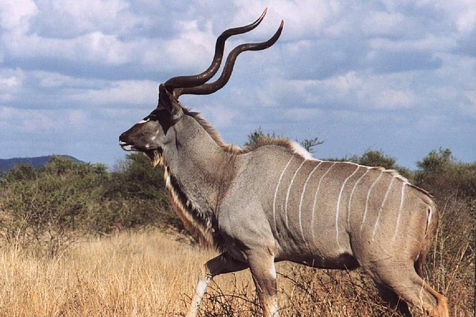 2 Days Wildlife Safari to Awash National Park - From Addis Ababa to the Rift Valley