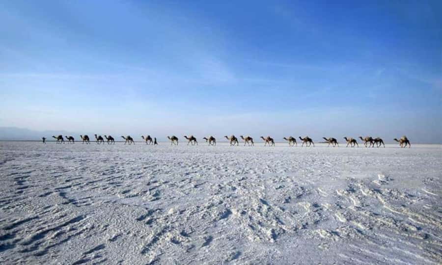 2-Night 3-Day Danakil Depression Tour without Flights - Day two: crater pits, Lake Giulietti, and Hamedela