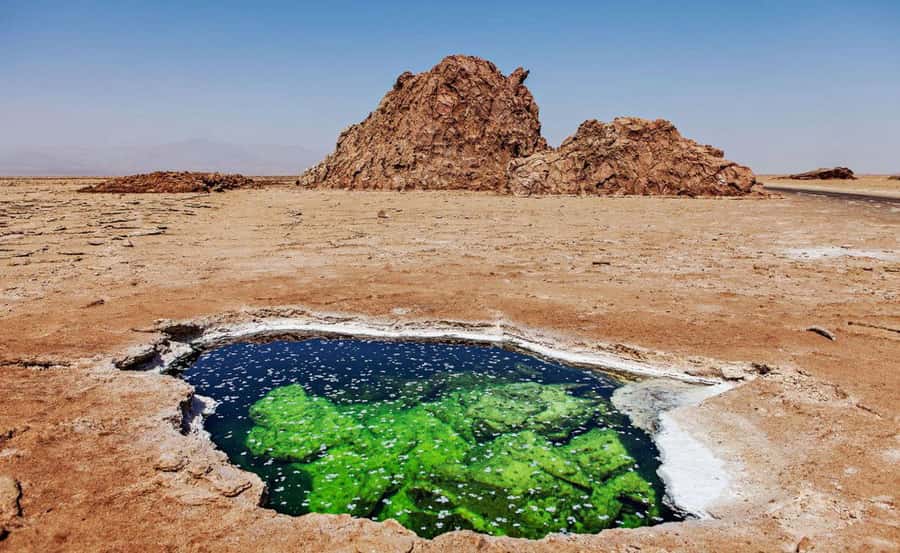 3-Day Danakil Depression A Journey into Earth’s Fiery Heart - Key points to know before booking