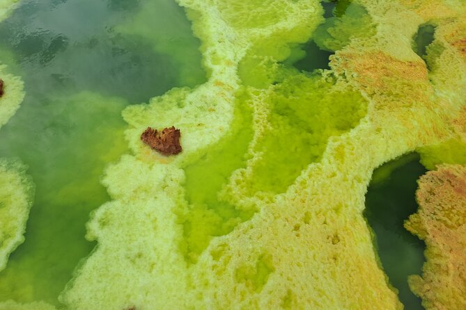 3 Day Danakil Depression Ertale and Dallol Tours - Food, water, and daily comfort