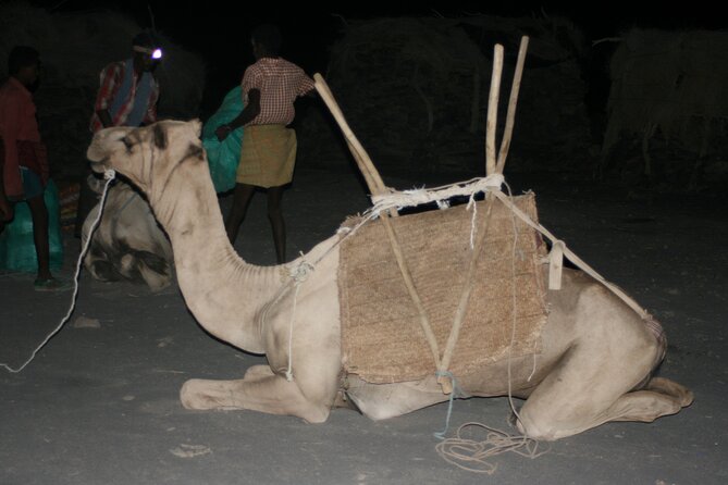 3-Day Danakil Depression Expedition - Erta Ale, and what you should confirm