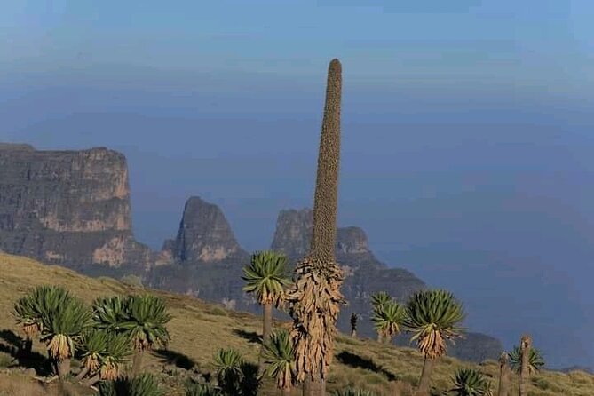 3 Day Simien Mountains Tours - Day 3: Imet Gogo and the return to Gonder