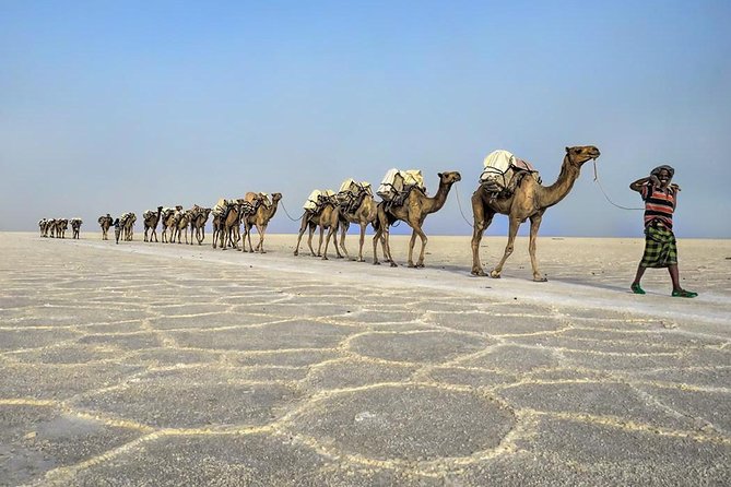 3 Day Tour to the Danakil Depression, Dallol, and Earta'le Volcano - Who should book this tour