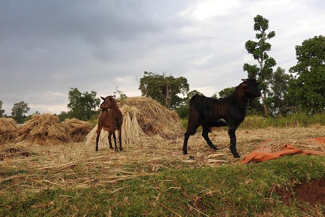 3 days, Arba Minch and Dorze - Lake Chamo by motorboat