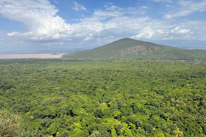 3 Days, Arba Minch, Dorze village and Konso Village - Day 3: Forty Springs and Lake Chamo wildlife