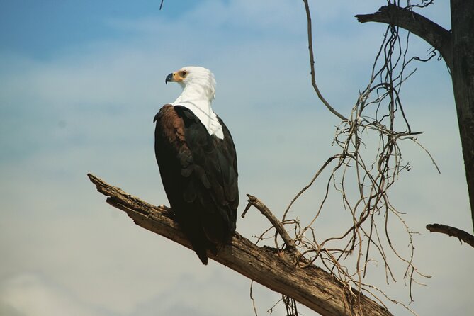 3 Days, Arba Minch, Dorze village and Konso Village - The guiding style and private-tour advantage