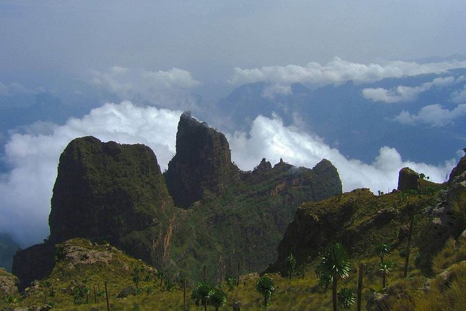 3 Days Bale Mountains Trekking - Day 1: Dinsho woodland after the 11:45 flight