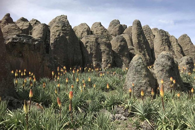 3 Days Bale Mountains Trekking - What to pack and confirm