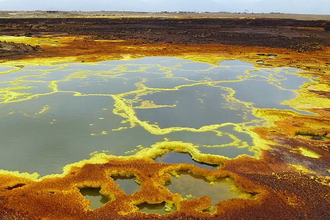 3 Days Danakil Depression Tour - Day 3: Salt workers, Dallol, and Lake Assal