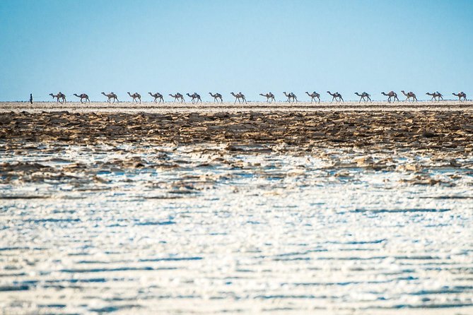 3 Days Danakil Depression Tour - Guides, drivers, and communication