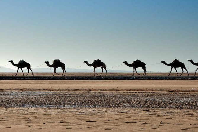 3 Days Danakil Depression Tours Via Semera - Guides, drivers, and the human side of the trip