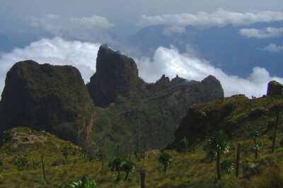 4 Days Trekking to Simien Mountain National Park