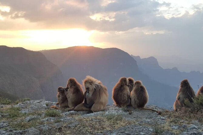 5 days Exploring North Ethiopia's Rich History and Culture - What the $1,199 price really covers