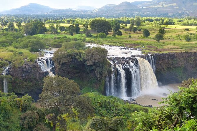 5 days Exploring North Ethiopia's Rich History and Culture - Day 3: Simien Mountains and gelada baboons
