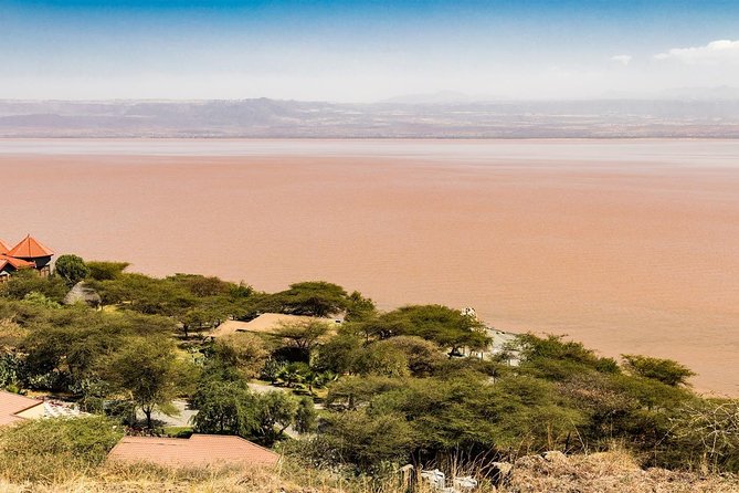 6 days 5 nights Addis Abeba sightseeing & Lalibela Rock-Hewn Churches - Day 6: A boat trip, Addis Ababa, and farewell dinner