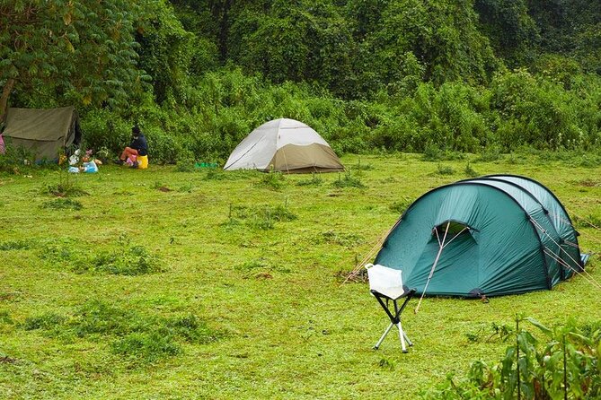 6 Days Bale Mountains Trekking - Day 4: Volcanic ridges shaped by fire and ice