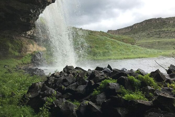 6 Days Bale Mountains Trekking - Wildlife is a major reason to choose Bale