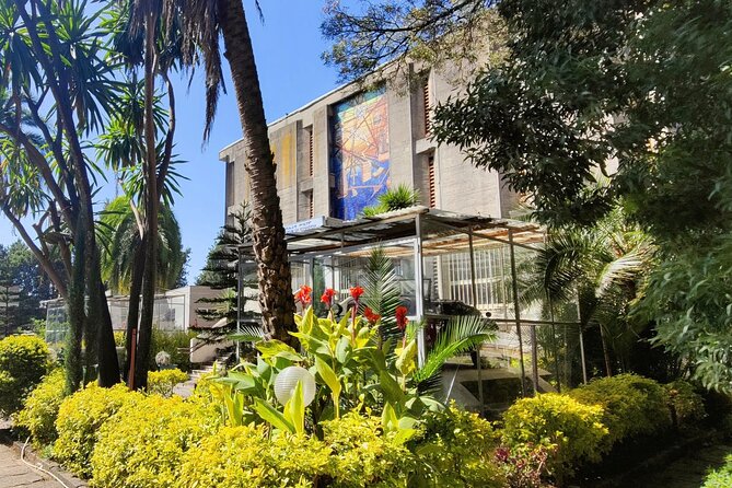 A Guided Tour of Addis Ababa That Includes a City Viewpoint - Why This Half-Day Addis Ababa Tour Works