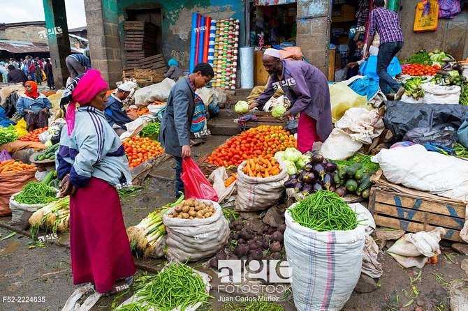Addis Ababa City Tours With Cocking Class of Ethiopian Food - The guides, drivers, and personal pace