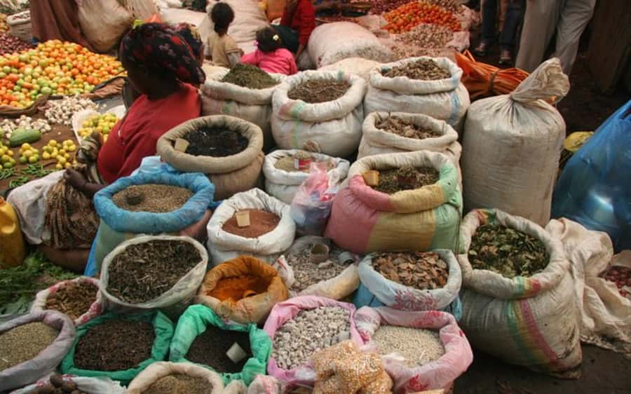Addis Ababa: Entoto hill and Mercato Market layover tour - Why this Addis Ababa layover tour works