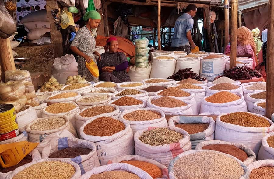 Addis Ababa: Entoto hill and Mercato Market layover tour - What is included, and what you still pay for