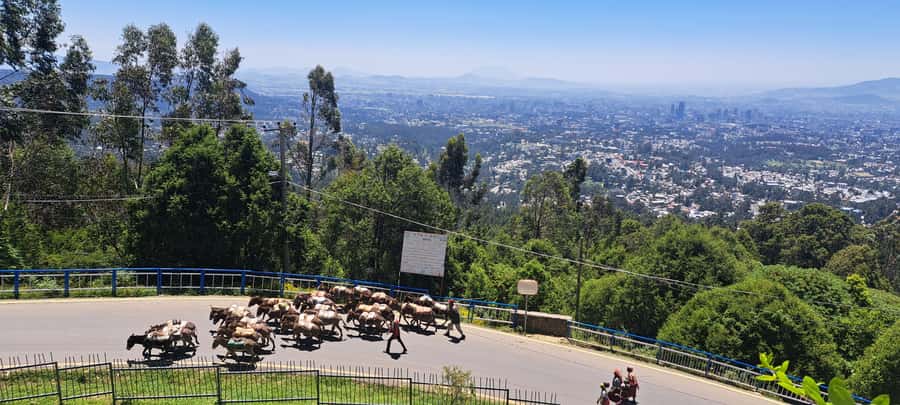Addis Ababa Essentials: Flexible Full-Day City Sightseeing - Walking through Addis Mercato