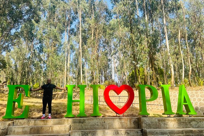 Addis Ababa Guided City Tours - Mercato, the day’s most active stop