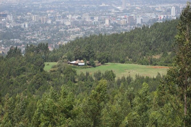 Addis Ababa +Mount Entoto View Point,Museums Palace Market Tours - Monuments along Churchill Avenue and Sidist Kilo