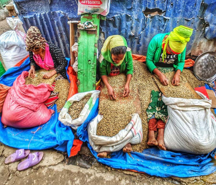 "Addis Uncovered: Culture, Views & Everyday Vibes - Key points to know before booking