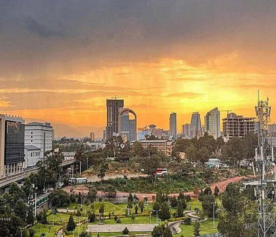 "Addis Uncovered: Culture, Views & Everyday Vibes - Lucy at the National Museum of Ethiopia