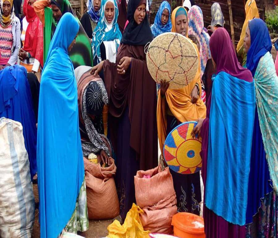 "Addis Uncovered: Culture, Views & Everyday Vibes - Meeting your guide at a hotel or airport