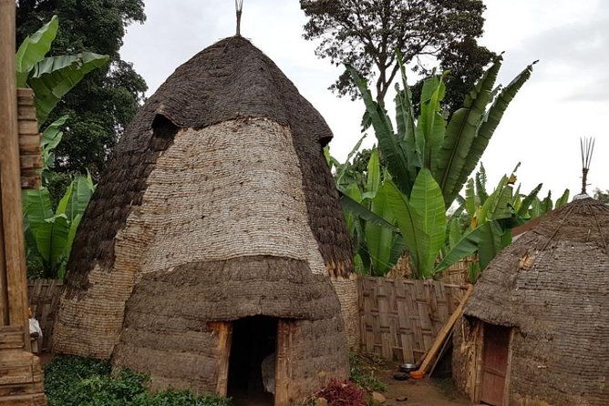 Arba Minch, Dorze Tribe, Konso, and Awasa Private 4 Days Tour from Addis Ababa - Day one: Tiya stones and the Rift Valley near Butajira