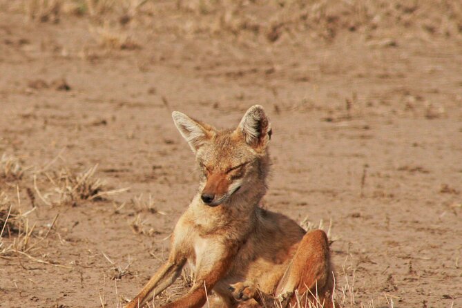 Awash National Park Tours - Awash Gorge, waterfalls, and the upper Kudu Valley
