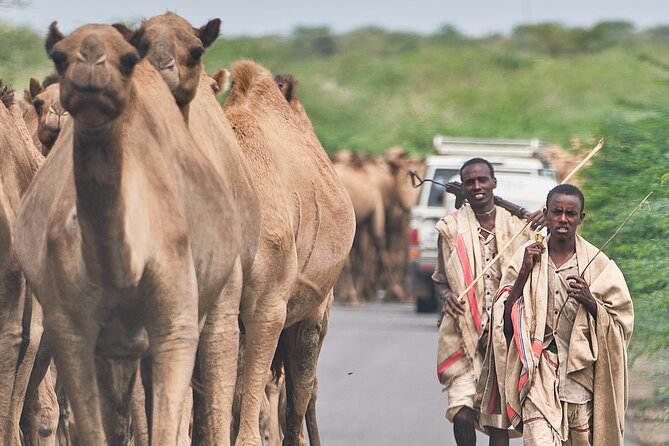 Awash National Park Tours - Practical preparation for the road and park