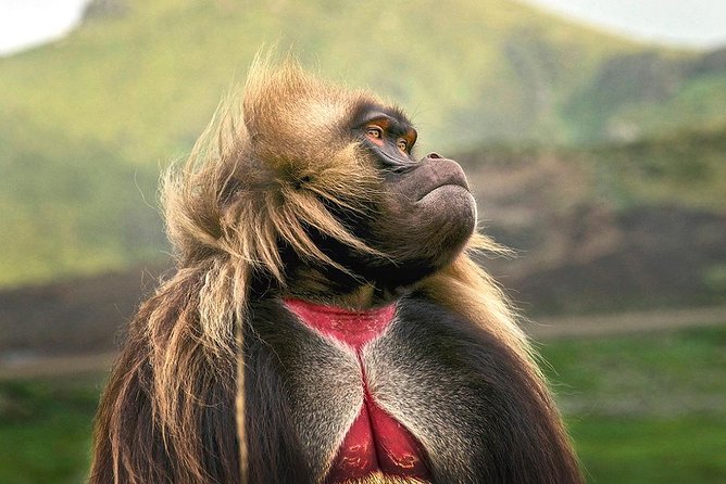 Breathtaking Nature, Wildlife and Cave Church Tour - Free Pickups - Key points to know before you go