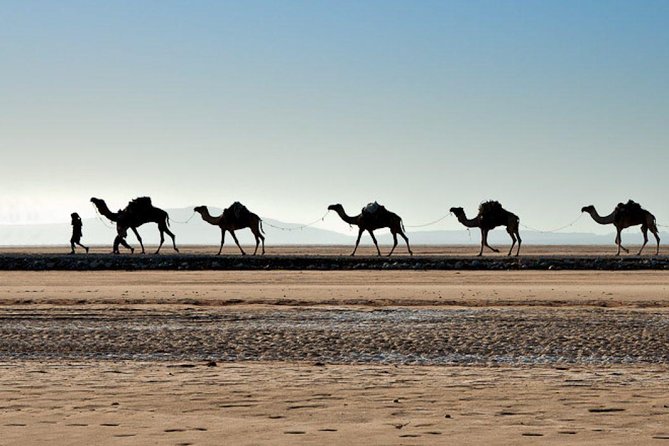 Danakil Depression and Lalibela 5 Days Tours - Why this Ethiopia combination works