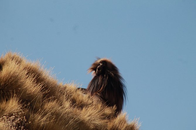 Day Hike Around Lalibela - Returning through Asheton Maryam monastery