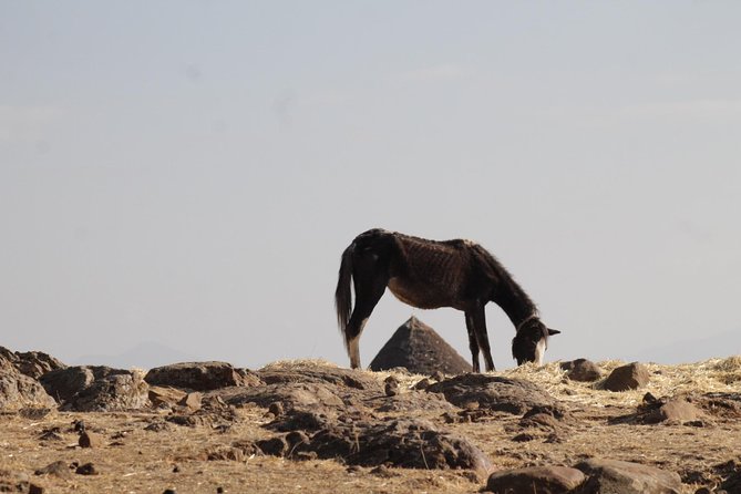 Day Hike Around Lalibela - Is $50 a fair price?