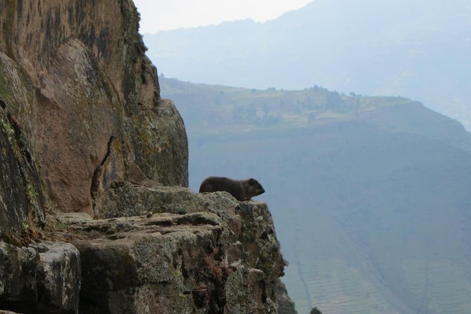 Day Hike Around Lalibela - Walking toward Hudad Lodge